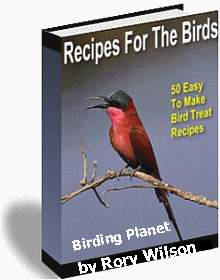 50 Recipes for Bird Treats