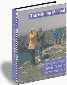 750 Bird Checklist of North America