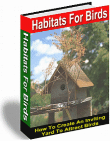 Habitats For Birds