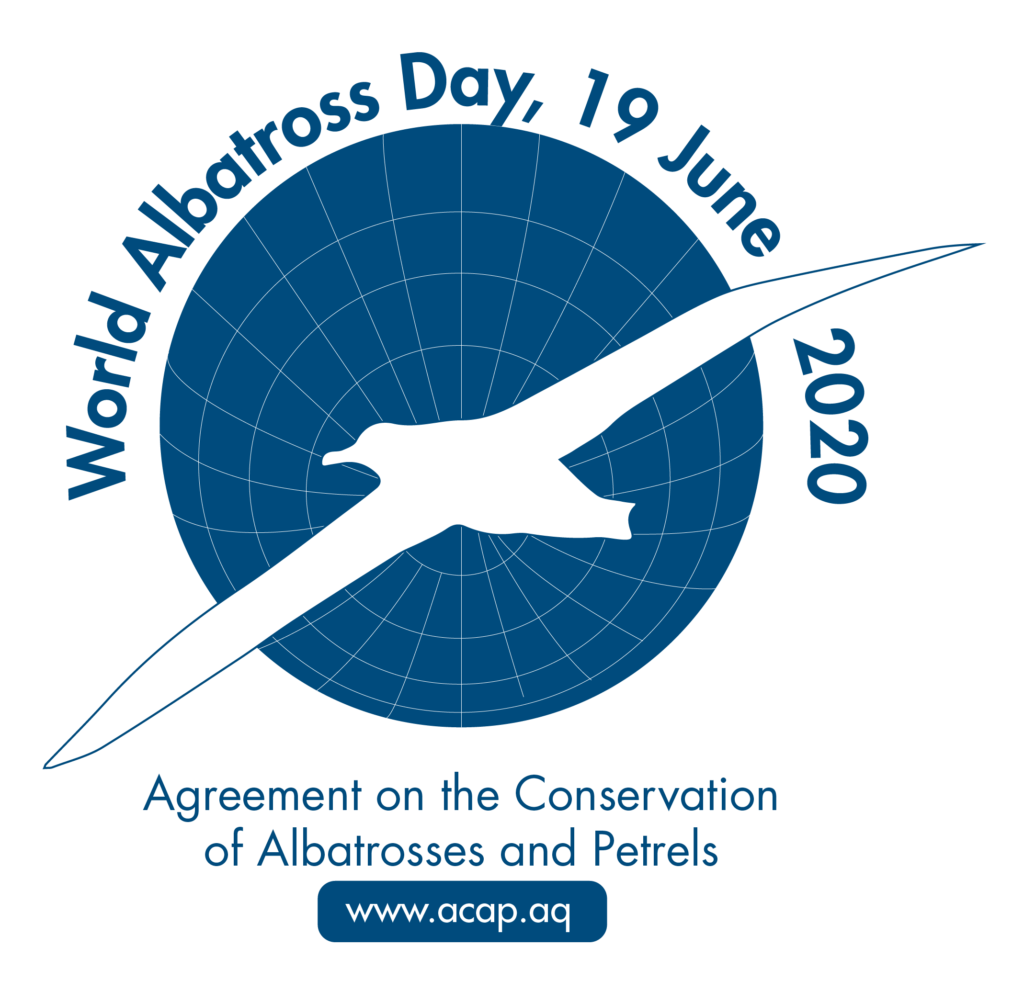 World Albatross Day  on BirdingPlanet.com