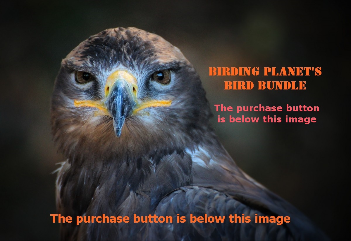 Bird Bundle for Conservation Support